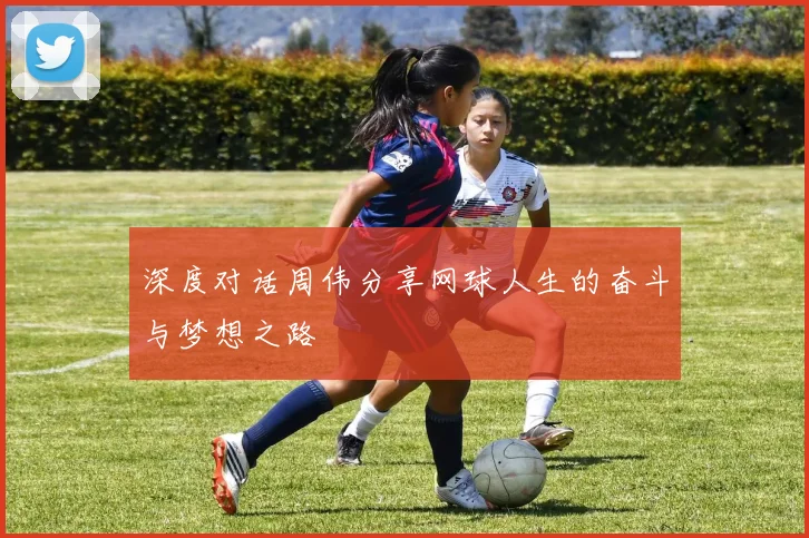 深度对话周伟分享网球人生的奋斗与梦想之路